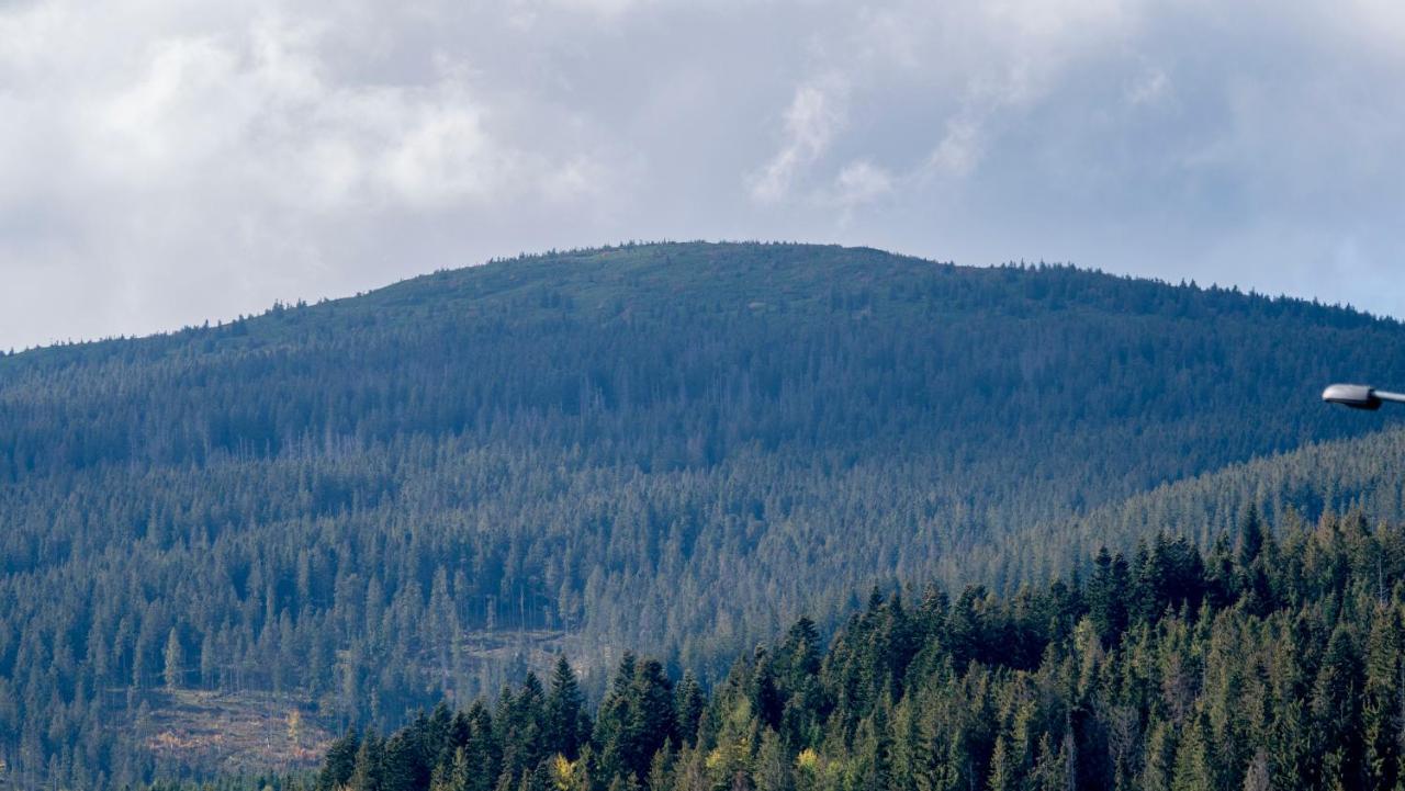 U Jedrusia Apartamento Zubrzyca Gorna Exterior foto