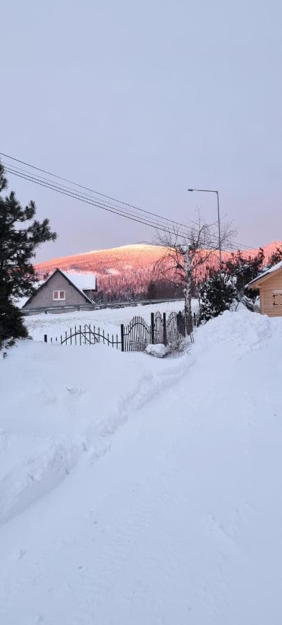 U Jedrusia Apartamento Zubrzyca Gorna Exterior foto